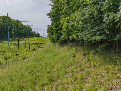 *OWNER FINANCING AVAILABLE*  Here is a wonderful opportunity for on Diamondhead Golf and Country Club in Arkansas - for sale on GolfHomes.com, golf home, golf lot