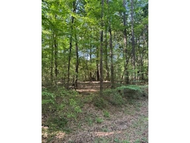 4 lots nestled in Pendleton Harbor close to the new SRA facility on Pendleton Harbor in Texas - for sale on GolfHomes.com, golf home, golf lot