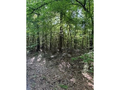 4 lots nestled in Pendleton Harbor close to the new SRA facility on Pendleton Harbor in Texas - for sale on GolfHomes.com, golf home, golf lot