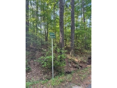 4 lots nestled in Pendleton Harbor close to the new SRA facility on Pendleton Harbor in Texas - for sale on GolfHomes.com, golf home, golf lot