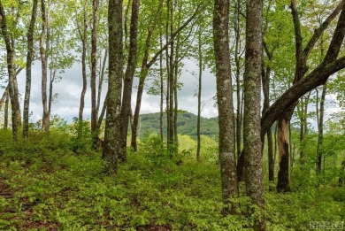 Bring your plans because this lot is ready for your new home! on Natures Walk At Chinquapin in North Carolina - for sale on GolfHomes.com, golf home, golf lot