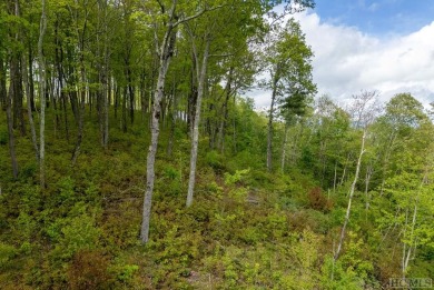 Bring your plans because this lot is ready for your new home! on Natures Walk At Chinquapin in North Carolina - for sale on GolfHomes.com, golf home, golf lot