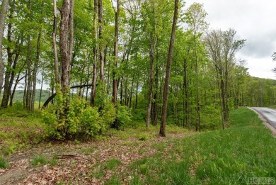 Bring your plans because this lot is ready for your new home! on Natures Walk At Chinquapin in North Carolina - for sale on GolfHomes.com, golf home, golf lot