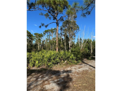 Fantastic Opportunity for a Vacant Lot in the Desirable Pineland on Alden Pines Golf Club in Florida - for sale on GolfHomes.com, golf home, golf lot