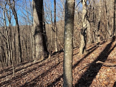 Land for Sale - Build Your Mountain Retreat in Bent Tree Don't on Bent Tree Golf Course in Georgia - for sale on GolfHomes.com, golf home, golf lot