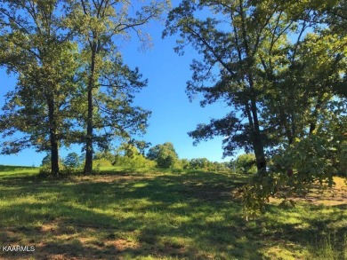 Nestled in heart of the WindRiver , Gallery Court is an on Wind River Golf Course in Tennessee - for sale on GolfHomes.com, golf home, golf lot