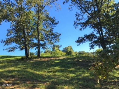 Nestled in heart of the WindRiver , Gallery Court is an on Wind River Golf Course in Tennessee - for sale on GolfHomes.com, golf home, golf lot