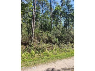 Are you looking for some space? This 1 acre lot in Boiling on The Lakes Country Club in North Carolina - for sale on GolfHomes.com, golf home, golf lot