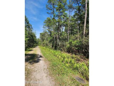 Are you looking for some space? This 1 acre lot in Boiling on The Lakes Country Club in North Carolina - for sale on GolfHomes.com, golf home, golf lot