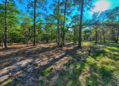 1.07 Acre WATERFRONT lot in the Coves! This property includes on Rayburn Country Club in Texas - for sale on GolfHomes.com, golf home, golf lot
