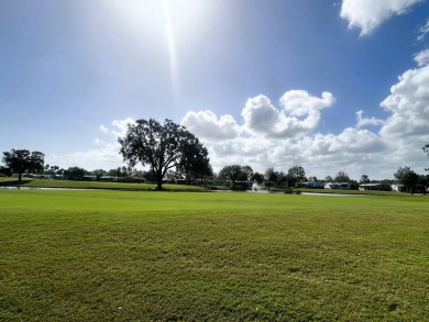 Imagine waking up to one of the most stunning views that Crane on Crane Lakes Golf and Country Club in Florida - for sale on GolfHomes.com, golf home, golf lot