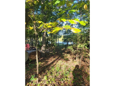 Don't miss the only lakefront camping lot available in the on Linn Valley Lakes - Deer Trace Golf Course in Kansas - for sale on GolfHomes.com, golf home, golf lot