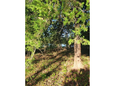 Don't miss the only lakefront camping lot available in the on Linn Valley Lakes - Deer Trace Golf Course in Kansas - for sale on GolfHomes.com, golf home, golf lot