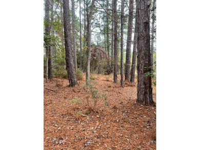 2 adjoining corner lots in Rayburn Country tucked away under the on Rayburn Country Club in Texas - for sale on GolfHomes.com, golf home, golf lot