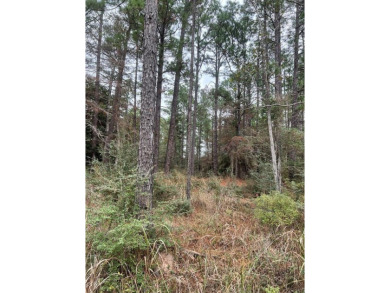 2 adjoining corner lots in Rayburn Country tucked away under the on Rayburn Country Club in Texas - for sale on GolfHomes.com, golf home, golf lot