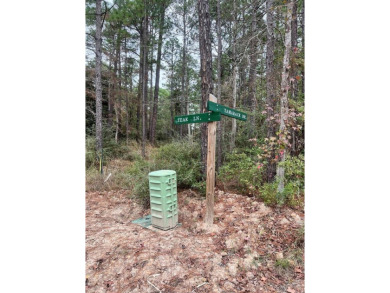 2 adjoining corner lots in Rayburn Country tucked away under the on Rayburn Country Club in Texas - for sale on GolfHomes.com, golf home, golf lot