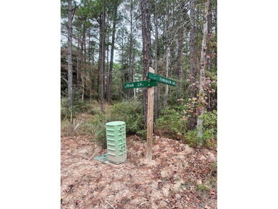 2 adjoining corner lots in Rayburn Country tucked away under the on Rayburn Country Club in Texas - for sale on GolfHomes.com, golf home, golf lot