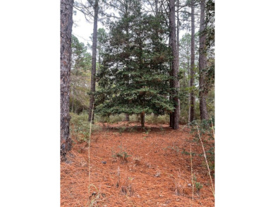 2 adjoining corner lots in Rayburn Country tucked away under the on Rayburn Country Club in Texas - for sale on GolfHomes.com, golf home, golf lot