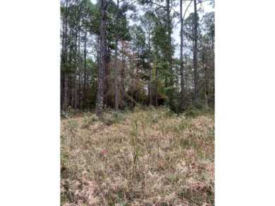 2 adjoining corner lots in Rayburn Country tucked away under the on Rayburn Country Club in Texas - for sale on GolfHomes.com, golf home, golf lot