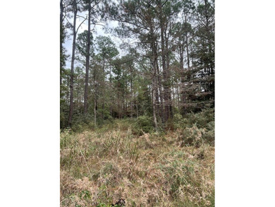 4 adjoining corner lots in Rayburn Country tucked away under the on Rayburn Country Club in Texas - for sale on GolfHomes.com, golf home, golf lot