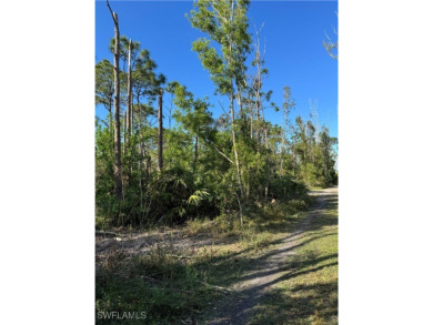 Fantastic Opportunity for a Vacant Lot in the Desirable Pineland on Alden Pines Golf Club in Florida - for sale on GolfHomes.com, golf home, golf lot