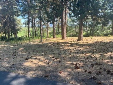 Very nice level site for building at the Running Y Resort. Views on Running Y Ranch Resort in Oregon - for sale on GolfHomes.com, golf home, golf lot