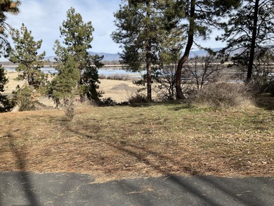 LAKE AND MOUNTAIN VIEWS AT THE BEST PRICE EVER!  This beautiful on Running Y Ranch Resort in Oregon - for sale on GolfHomes.com, golf home, golf lot