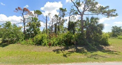 Large corner lot waiting for your future dream home!  Rotonda on Rotonda Golf and Country Club The Palms Course in Florida - for sale on GolfHomes.com, golf home, golf lot