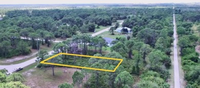 This lot is located in a quiet, deed restricted neighborhood on Rotonda Golf and Country Club The Links Course in Florida - for sale on GolfHomes.com, golf home, golf lot