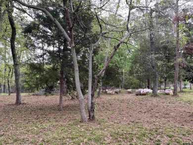 Come build your dream home on this beautiful lot in Cumberland on Eagles Bluff Golf Course in Texas - for sale on GolfHomes.com, golf home, golf lot