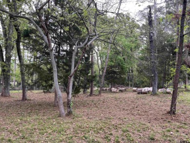Come build your dream home on this beautiful lot in Cumberland on Eagles Bluff Golf Course in Texas - for sale on GolfHomes.com, golf home, golf lot