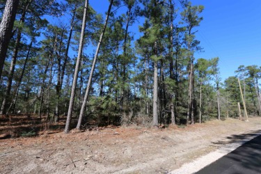 Lightly wooded lot in restricted Rayburn Country with a Lake Sam for sale on GolfHomes.com