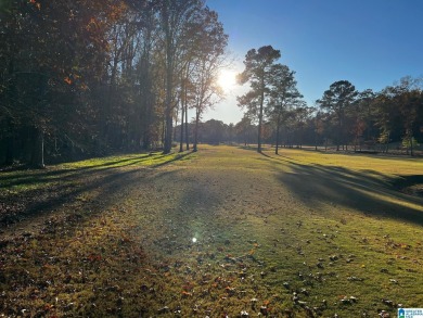 Selling Agent to verify all items of importance such as taxes on Shoal Creek Golf Course in Alabama - for sale on GolfHomes.com, golf home, golf lot