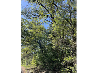 OWNER FINANCE OPTION! This serene 1.571-acre parcel is nestled on Rayburn Country Club in Texas - for sale on GolfHomes.com, golf home, golf lot