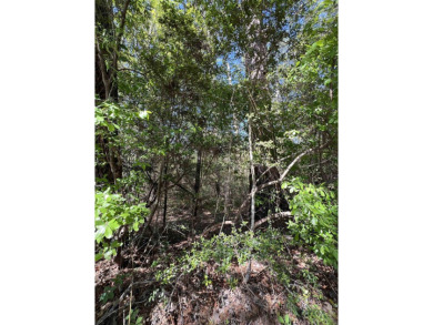 OWNER FINANCE OPTION! This serene 1.571-acre parcel is nestled on Rayburn Country Club in Texas - for sale on GolfHomes.com, golf home, golf lot