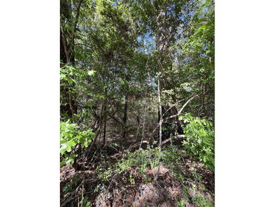 OWNER FINANCE OPTION! This serene 1.571-acre parcel is nestled on Rayburn Country Club in Texas - for sale on GolfHomes.com, golf home, golf lot