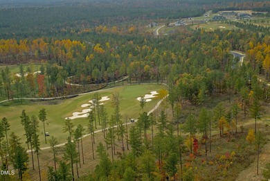 Come see all that the Chapel Ridge community has to offer - an on Chapel Ridge Golf Club in North Carolina - for sale on GolfHomes.com, golf home, golf lot