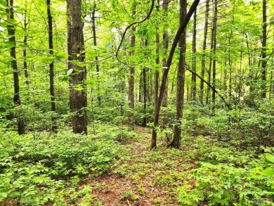 Location, location, location!  Lot K23 is situated near the on Lake Toxaway Country Club in North Carolina - for sale on GolfHomes.com, golf home, golf lot