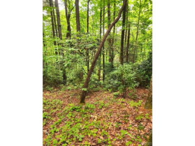 Location, location, location!  Lot K23 is situated near the on Lake Toxaway Country Club in North Carolina - for sale on GolfHomes.com, golf home, golf lot