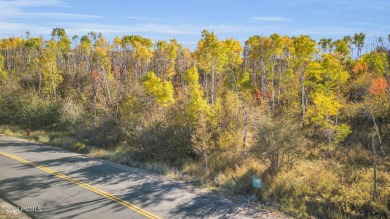 Nestled in the Aspens this new construction home offers privacy on Promontory Golf Club  in Utah - for sale on GolfHomes.com, golf home, golf lot