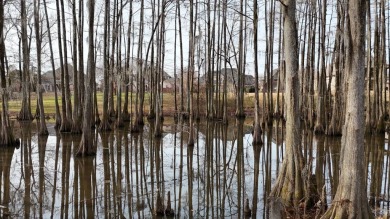 Look at this stunning home on Bayou Desiard in Frenchmen's Bend on Frenchmans Bend Country Club in Louisiana - for sale on GolfHomes.com, golf home, golf lot