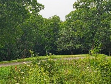 Lightly wooded beautiful & private homesite sitting high at end on Eagle Ridge Inn and Resort in Illinois - for sale on GolfHomes.com, golf home, golf lot