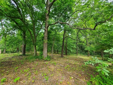 Lightly wooded beautiful & private homesite sitting high at end on Eagle Ridge Inn and Resort in Illinois - for sale on GolfHomes.com, golf home, golf lot