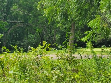 Lightly wooded beautiful & private homesite sitting high at end on Eagle Ridge Inn and Resort in Illinois - for sale on GolfHomes.com, golf home, golf lot