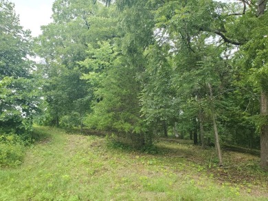 Lightly wooded beautiful & private homesite sitting high at end on Eagle Ridge Inn and Resort in Illinois - for sale on GolfHomes.com, golf home, golf lot