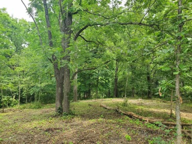 Lightly wooded beautiful & private homesite sitting high at end on Eagle Ridge Inn and Resort in Illinois - for sale on GolfHomes.com, golf home, golf lot