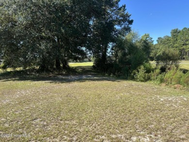 This home was built in 2024; it's practically brand new! The on Harbour Point Golf Club in North Carolina - for sale on GolfHomes.com, golf home, golf lot