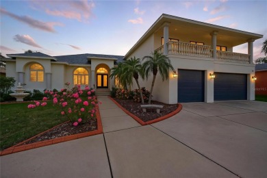 6004 Golf and Sea Blvd | Golf and Sea Village
4 Beds | 3 Baths on Apollo Beach Golf and Sea Club in Florida - for sale on GolfHomes.com, golf home, golf lot