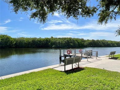 This 2 bedroom 1 1/2 bath home has a screened in porch and on Mangrove Bay Golf Course in Florida - for sale on GolfHomes.com, golf home, golf lot