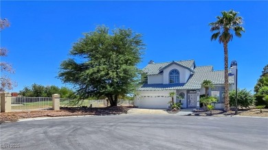 ** ONE OF A KIND BACKYARD SITS ON A LAKE AND TWO GOLF COURSE on Painted Desert Golf Club in Nevada - for sale on GolfHomes.com, golf home, golf lot